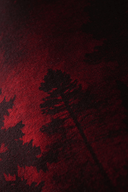 Redwood Oversized Printed Hoodie - Echolope